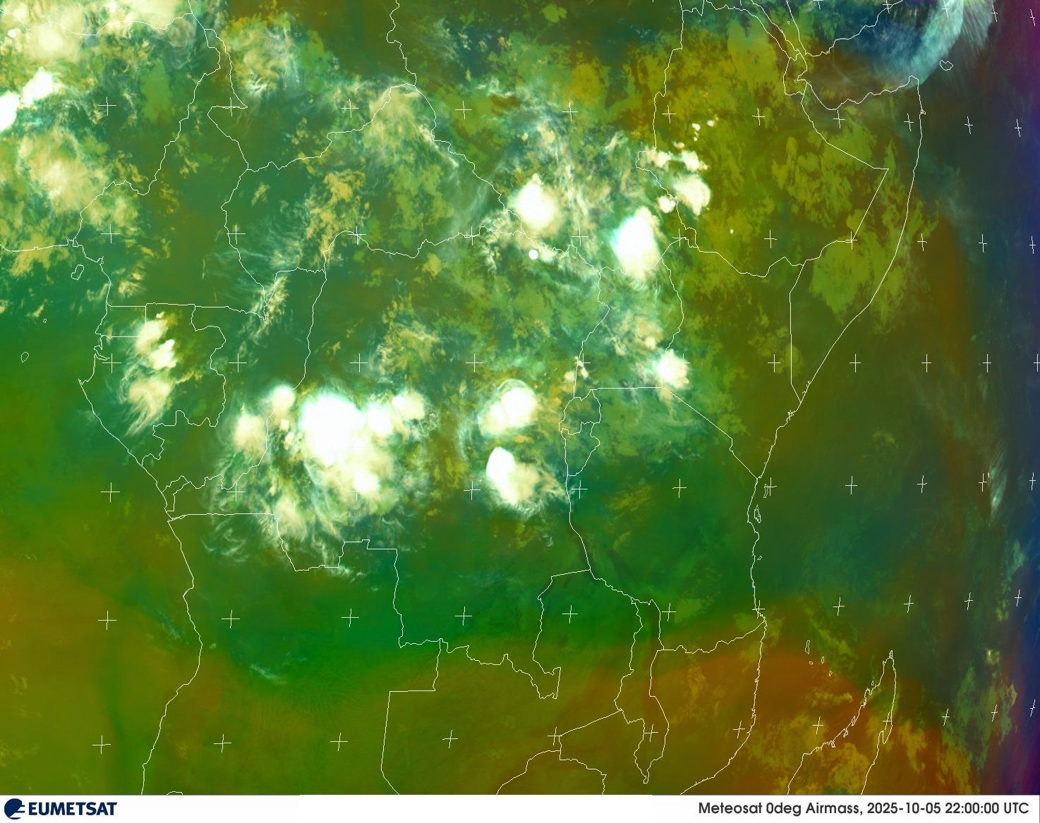 Live Satellite