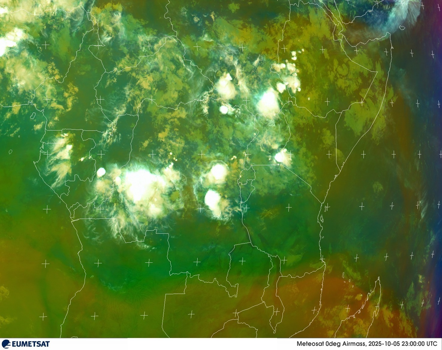 Live Satellite