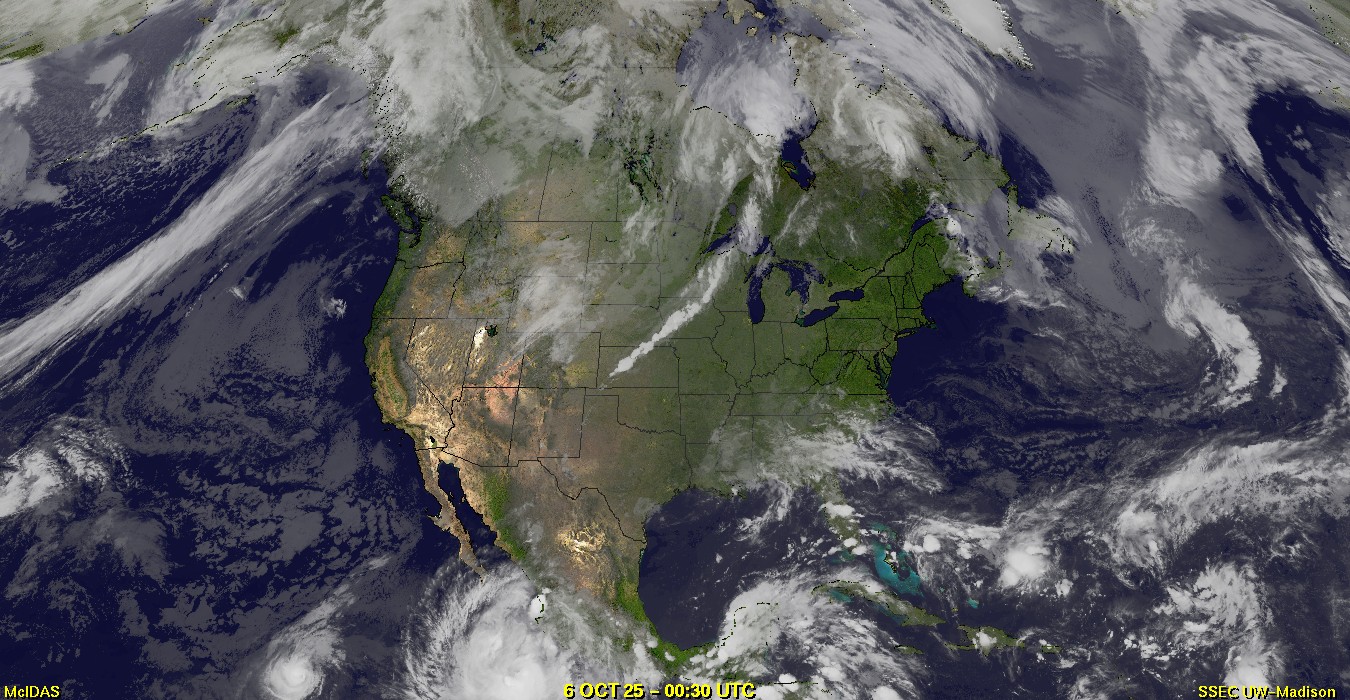 Live Satellite