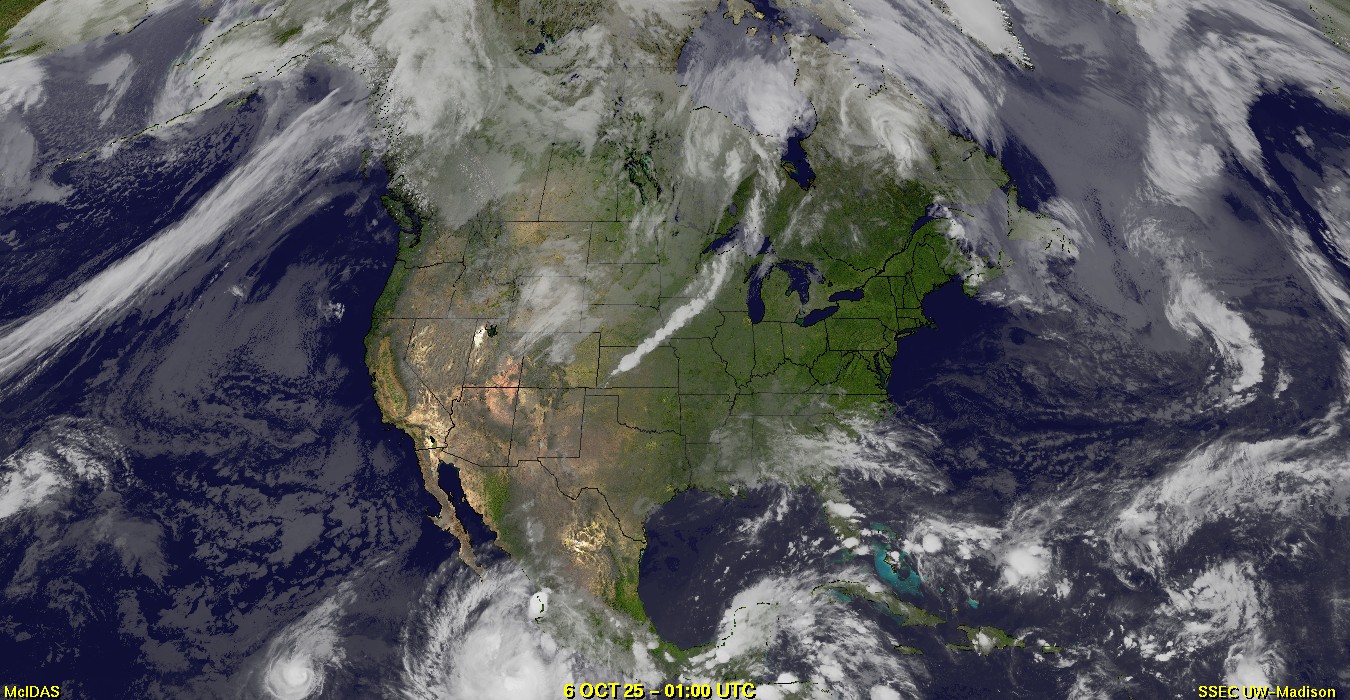 Live Satellite
