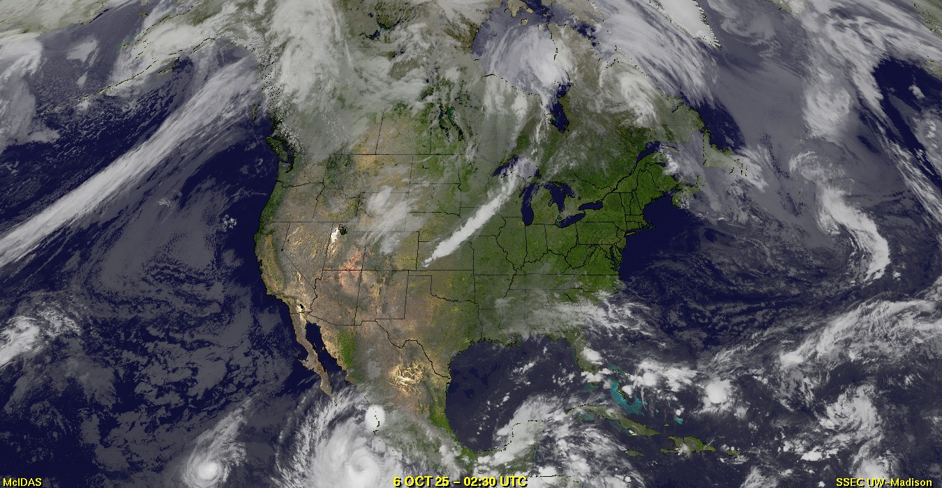 Live Satellite
