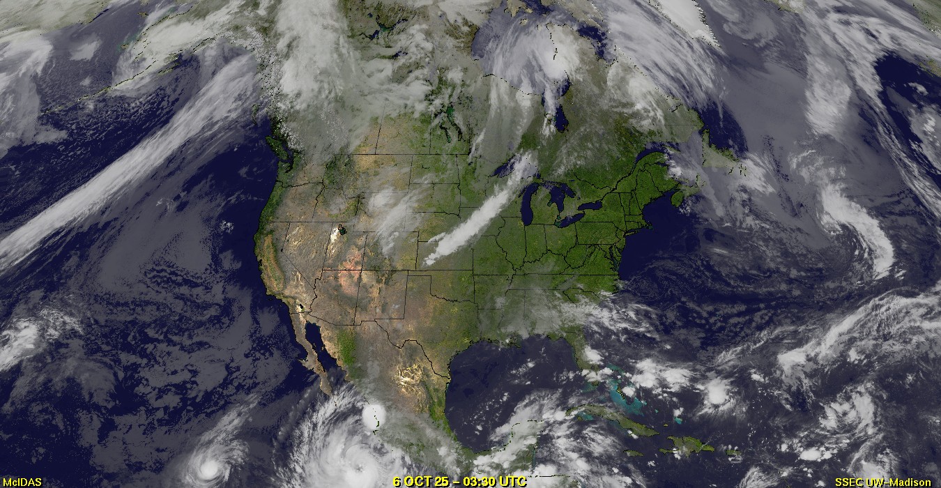 Live Satellite
