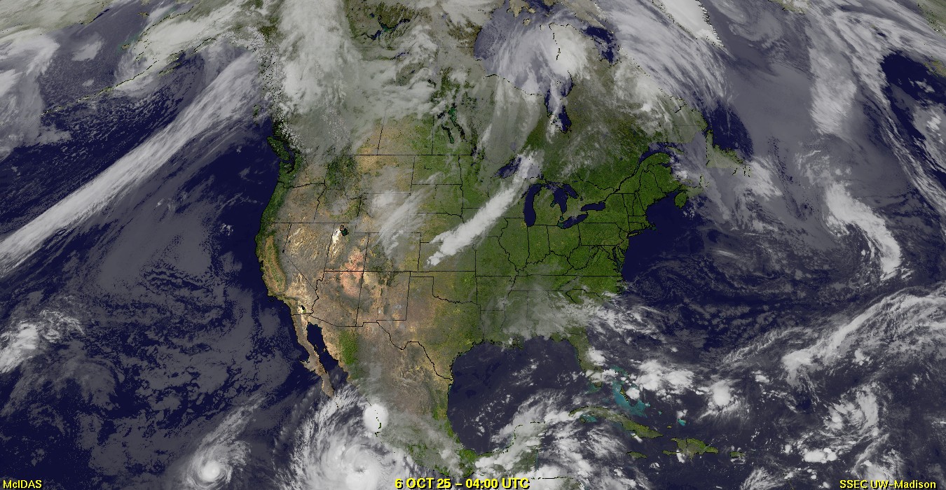 Live Satellite