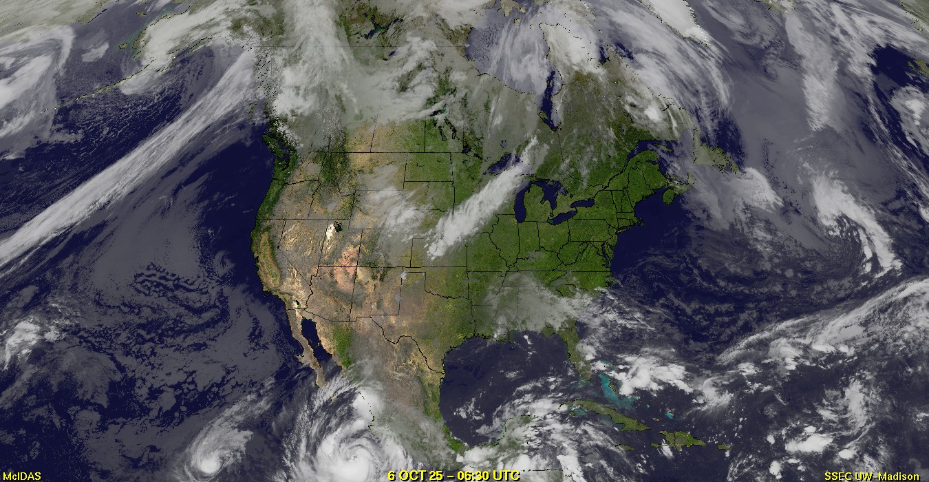 Live Satellite