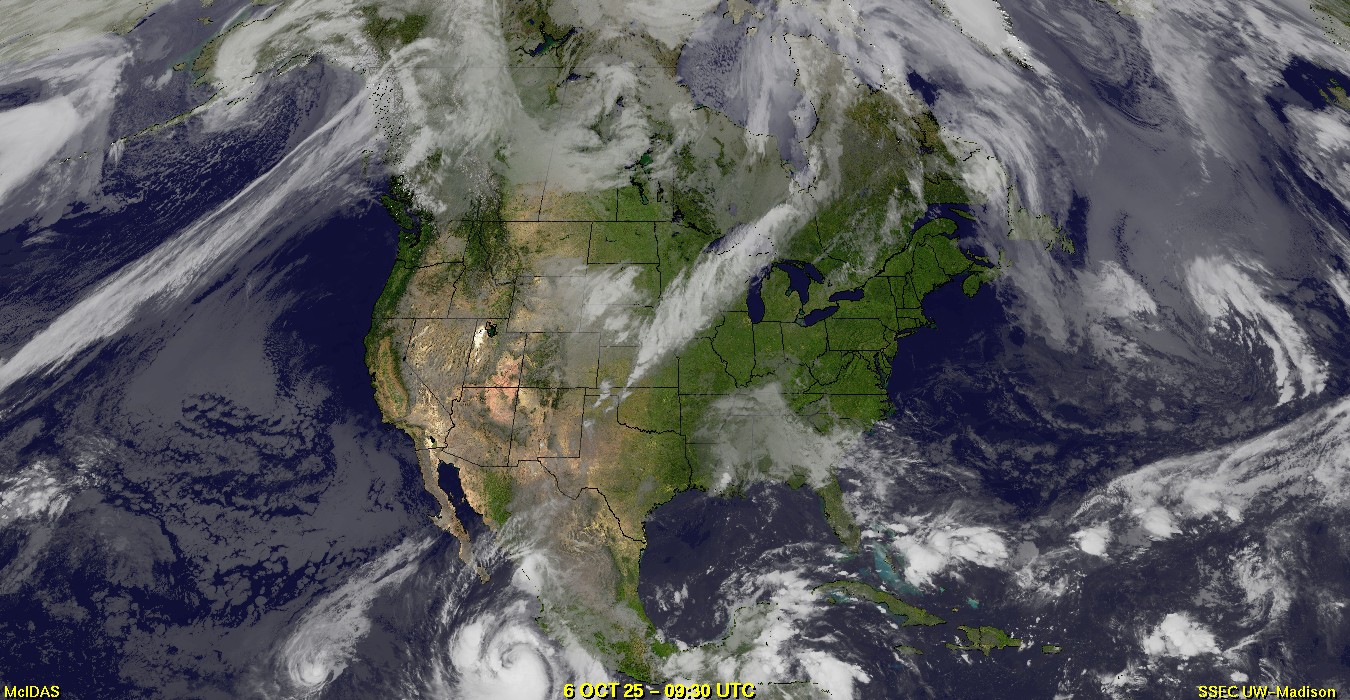 Live Satellite