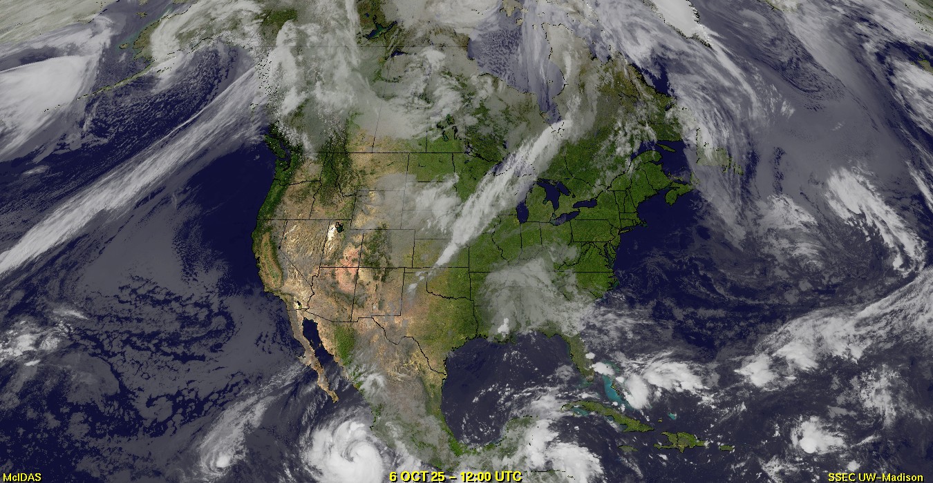 Live Satellite