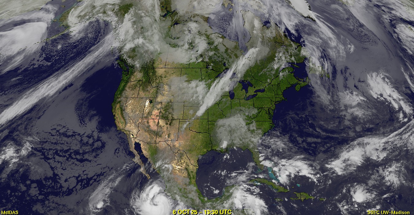 Live Satellite