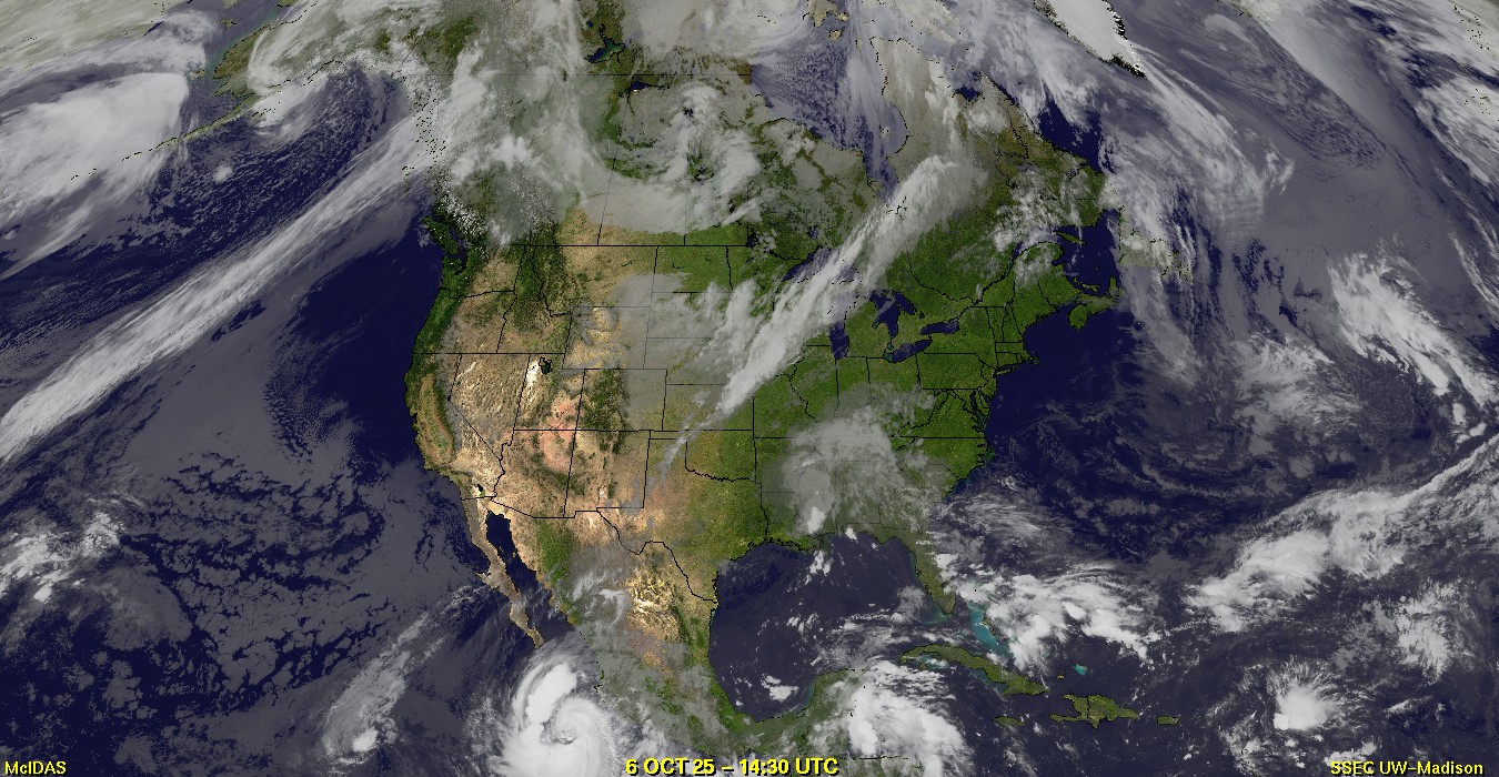 Live Satellite