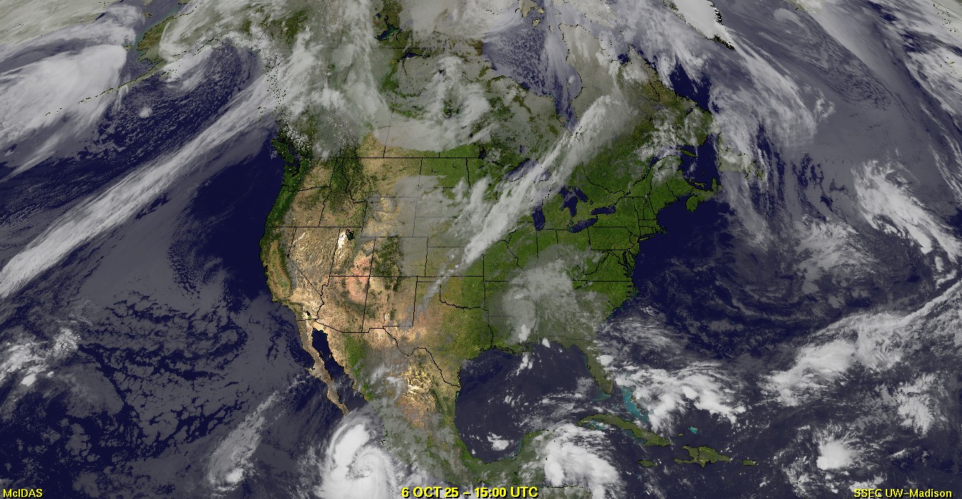 Live Satellite