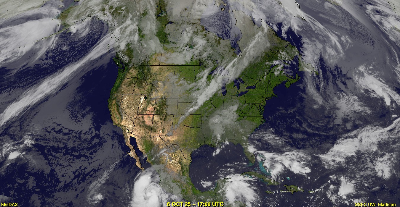 Live Satellite