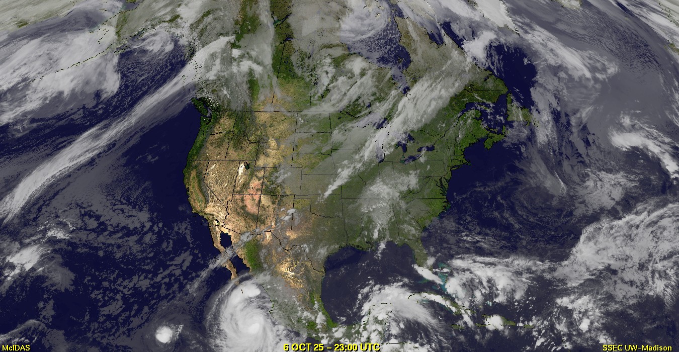 Live Satellite