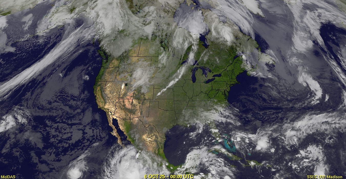 Live Satellite