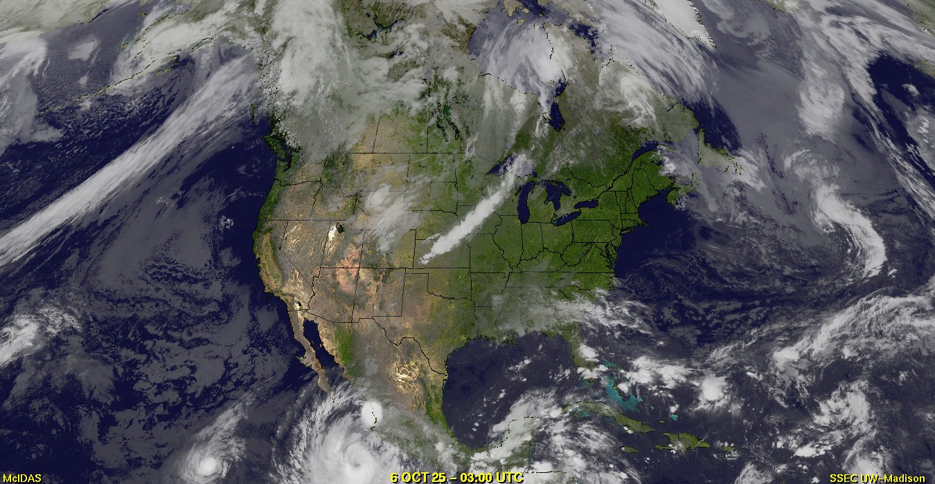 Live Satellite