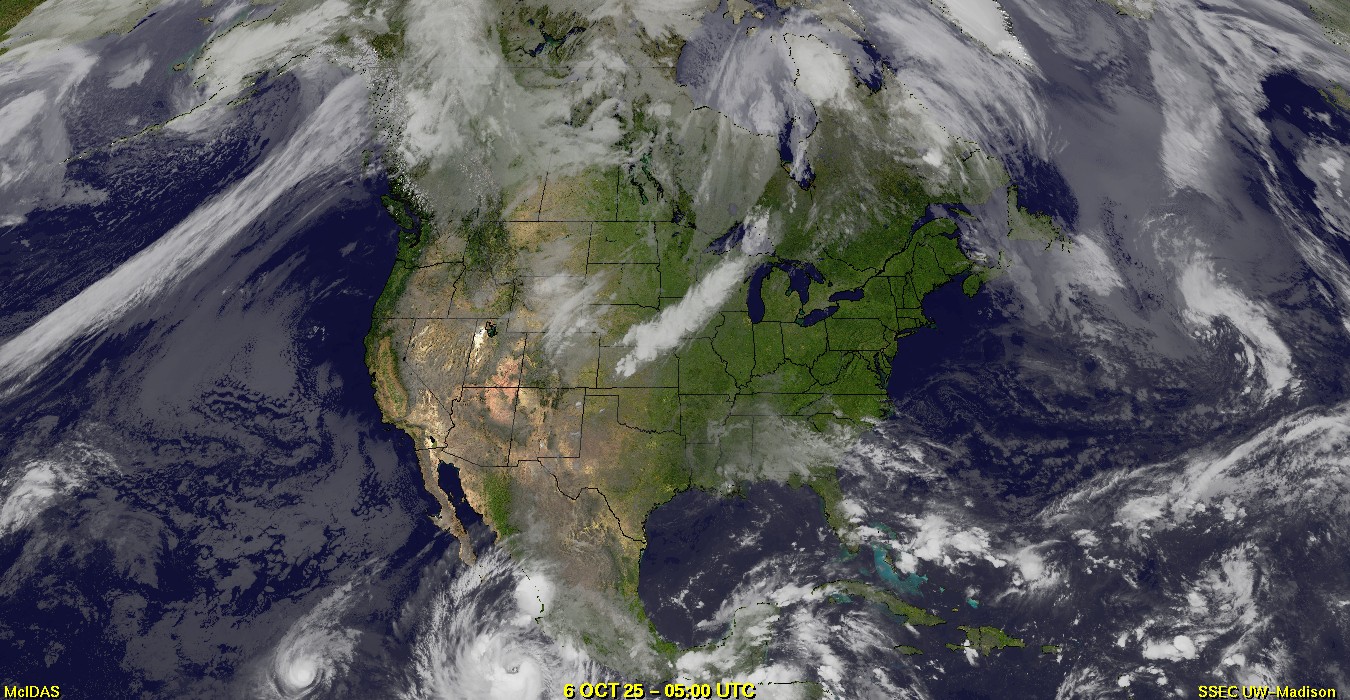 Live Satellite