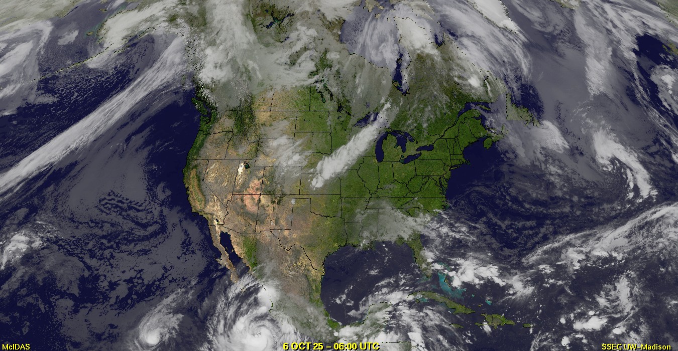 Live Satellite
