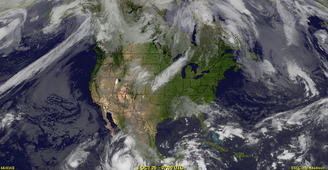 Live Satellite