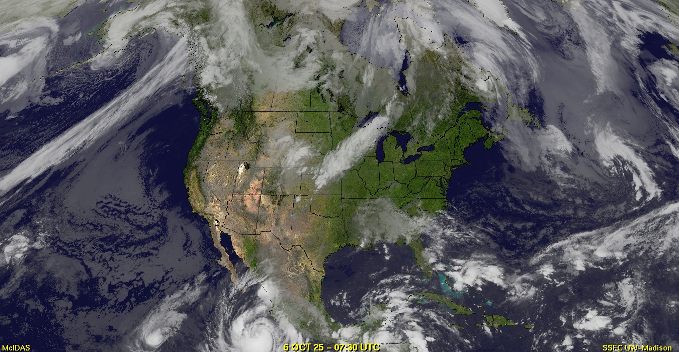 Live Satellite