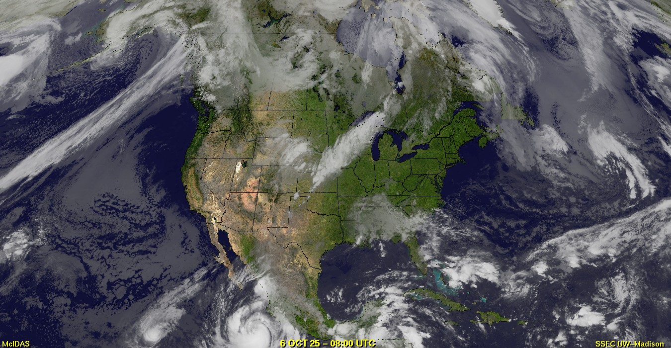 Live Satellite