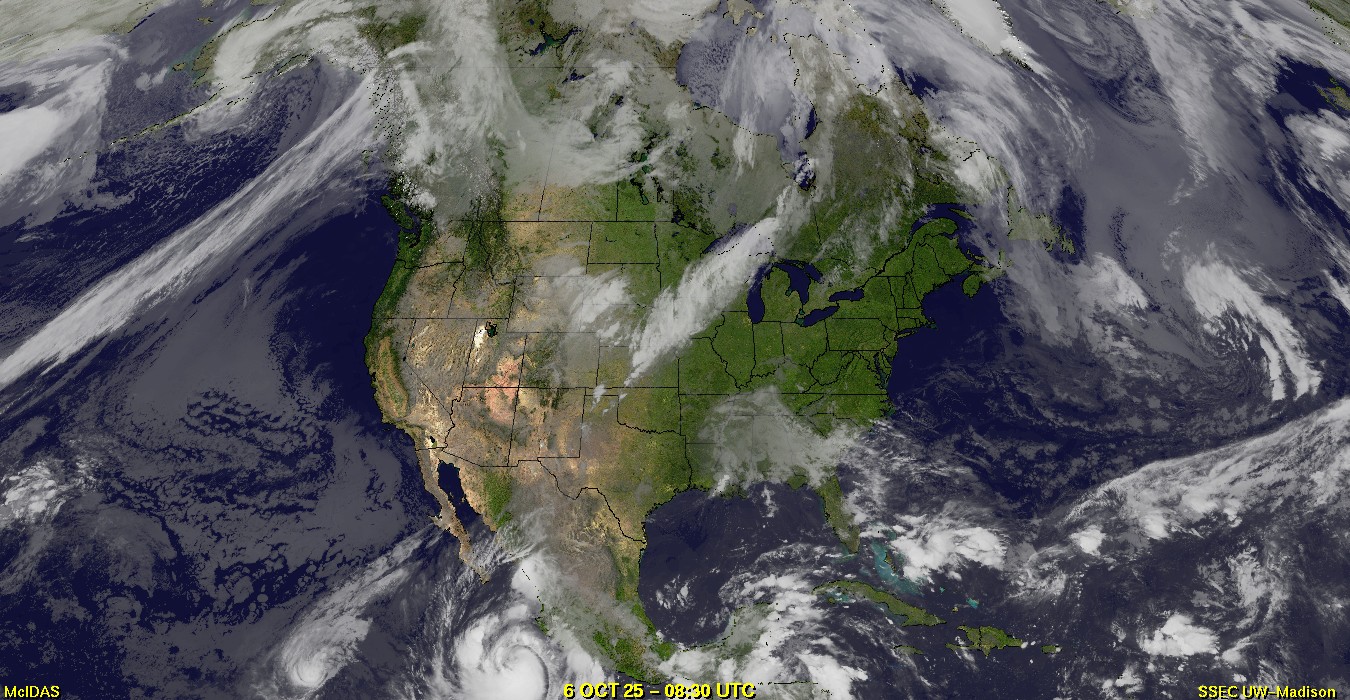 Live Satellite