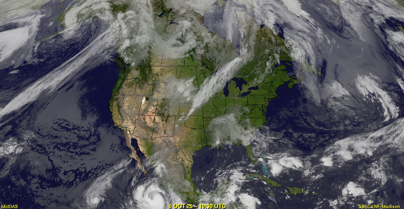 Live Satellite