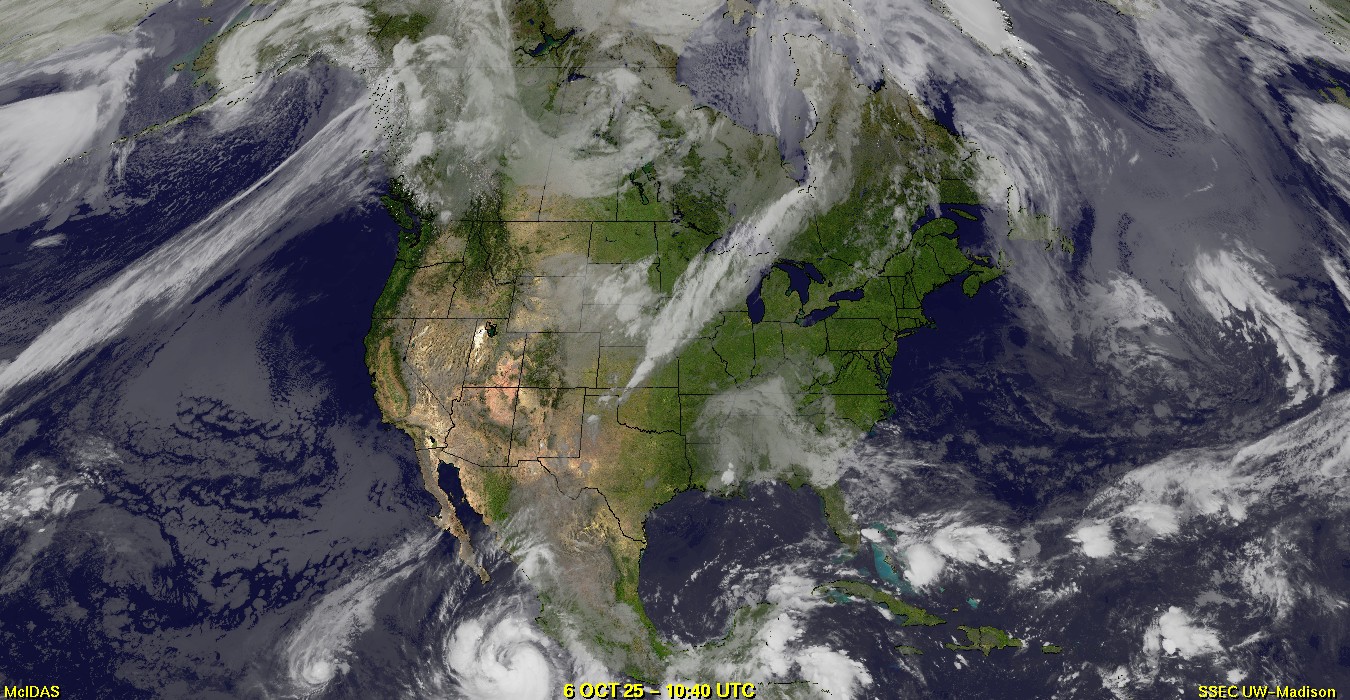 Live Satellite