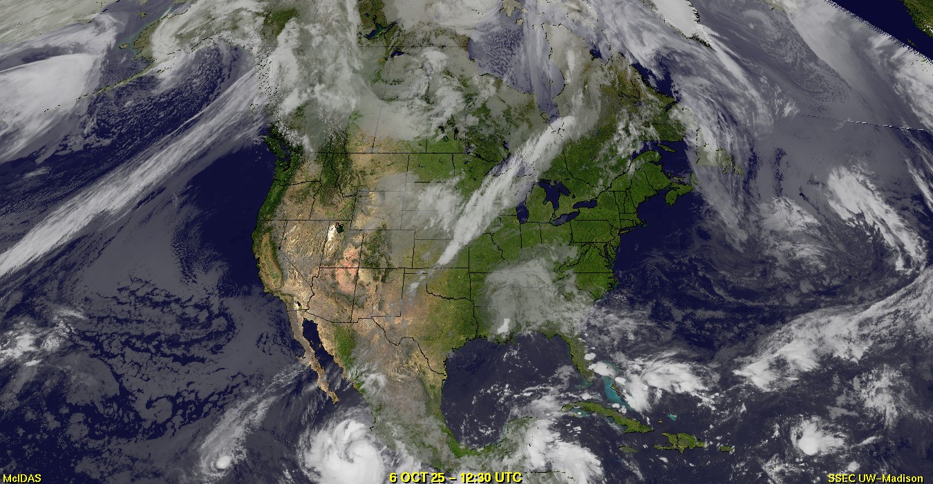 Live Satellite