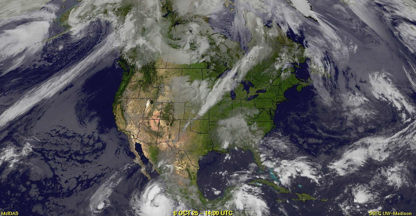 Live Satellite