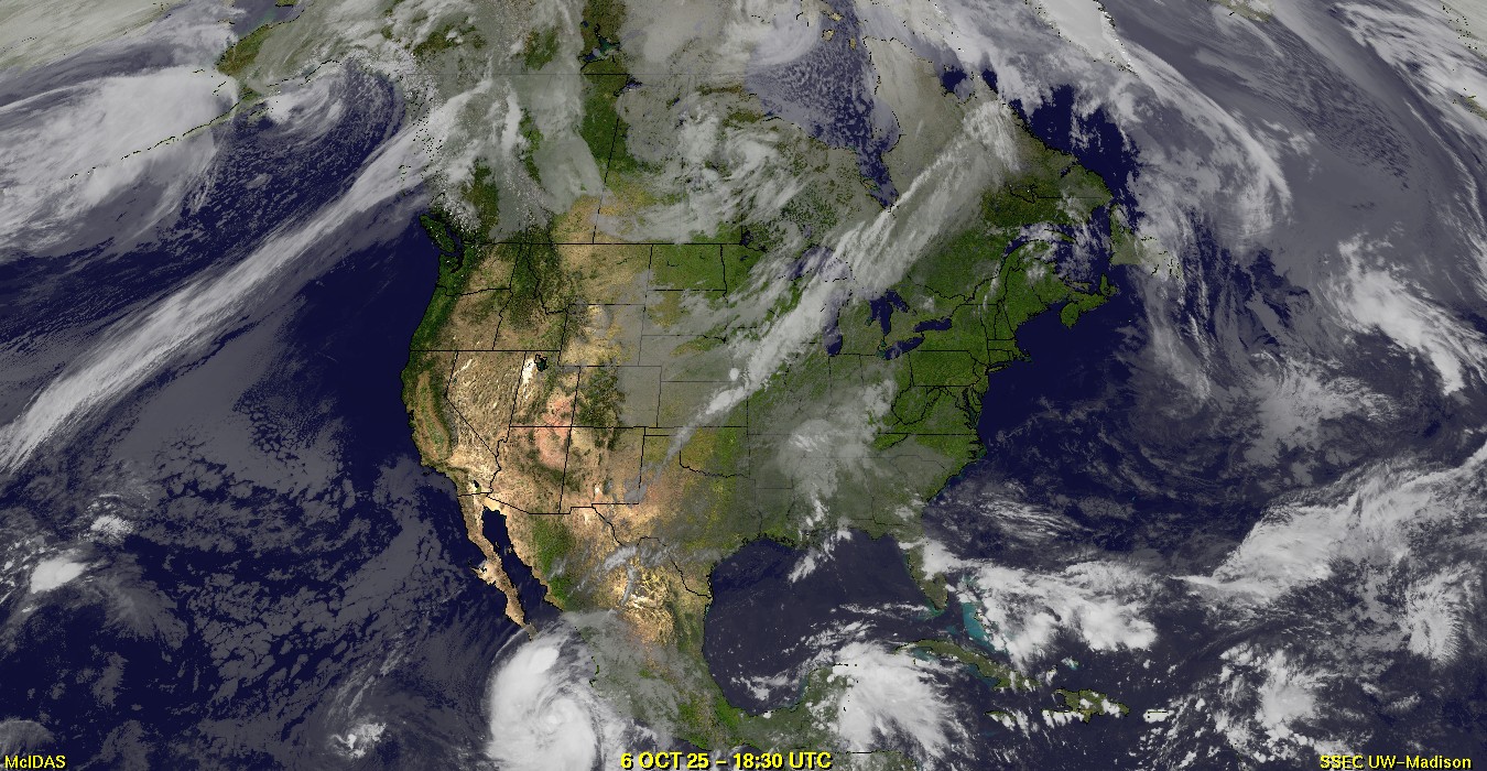 Live Satellite