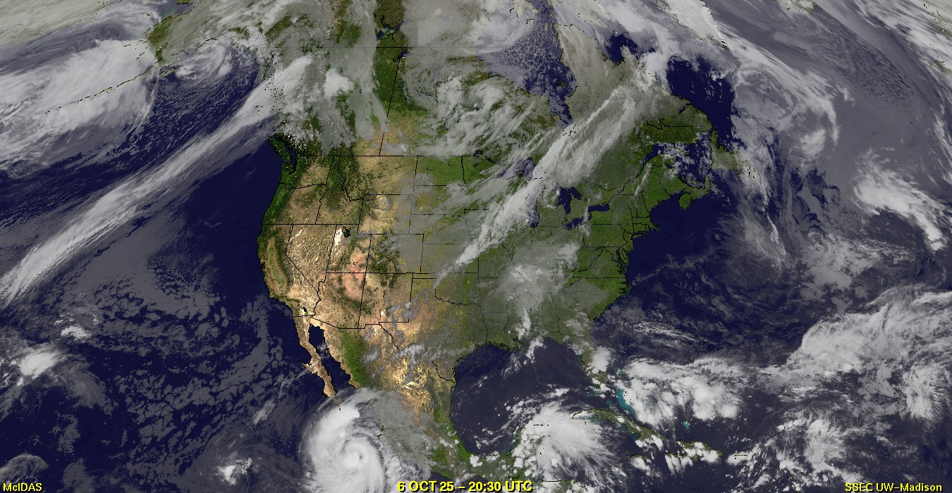 Live Satellite