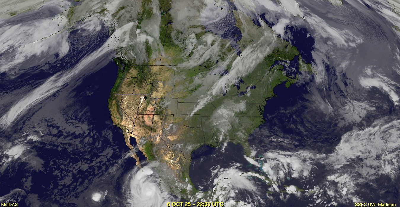 Live Satellite