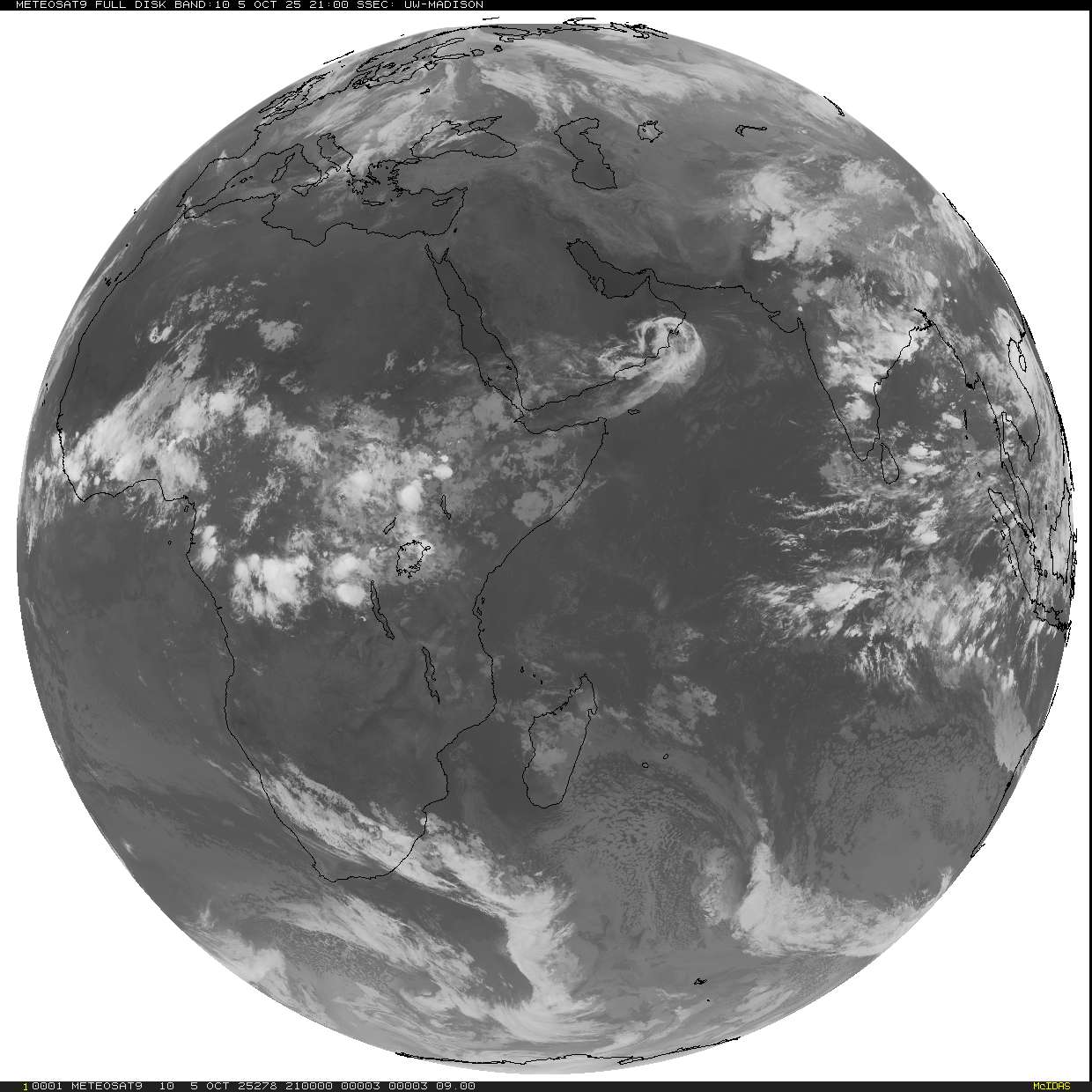 Live Satellite
