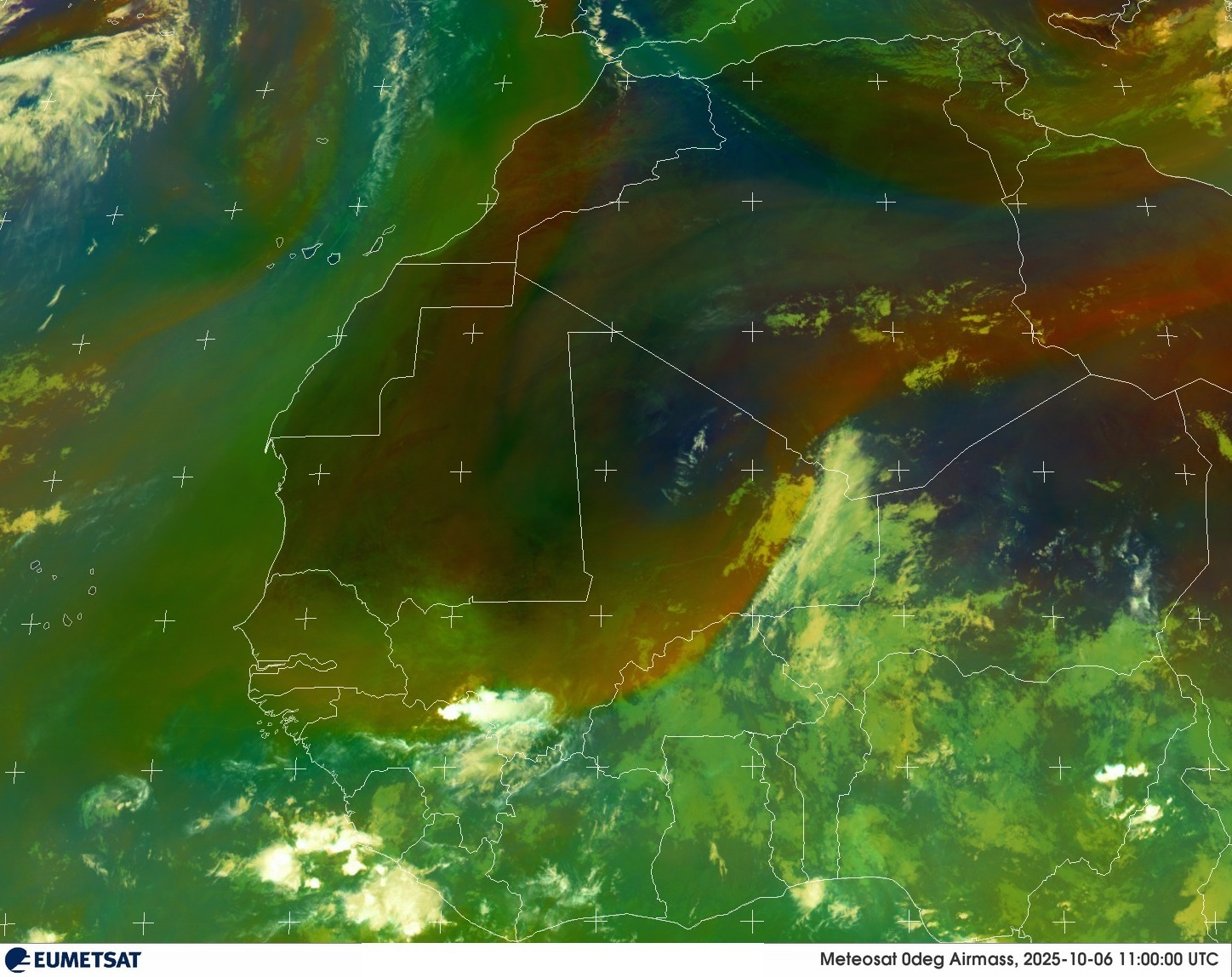 Live Satellite