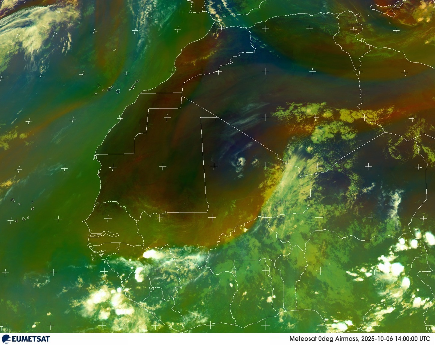 Live Satellite