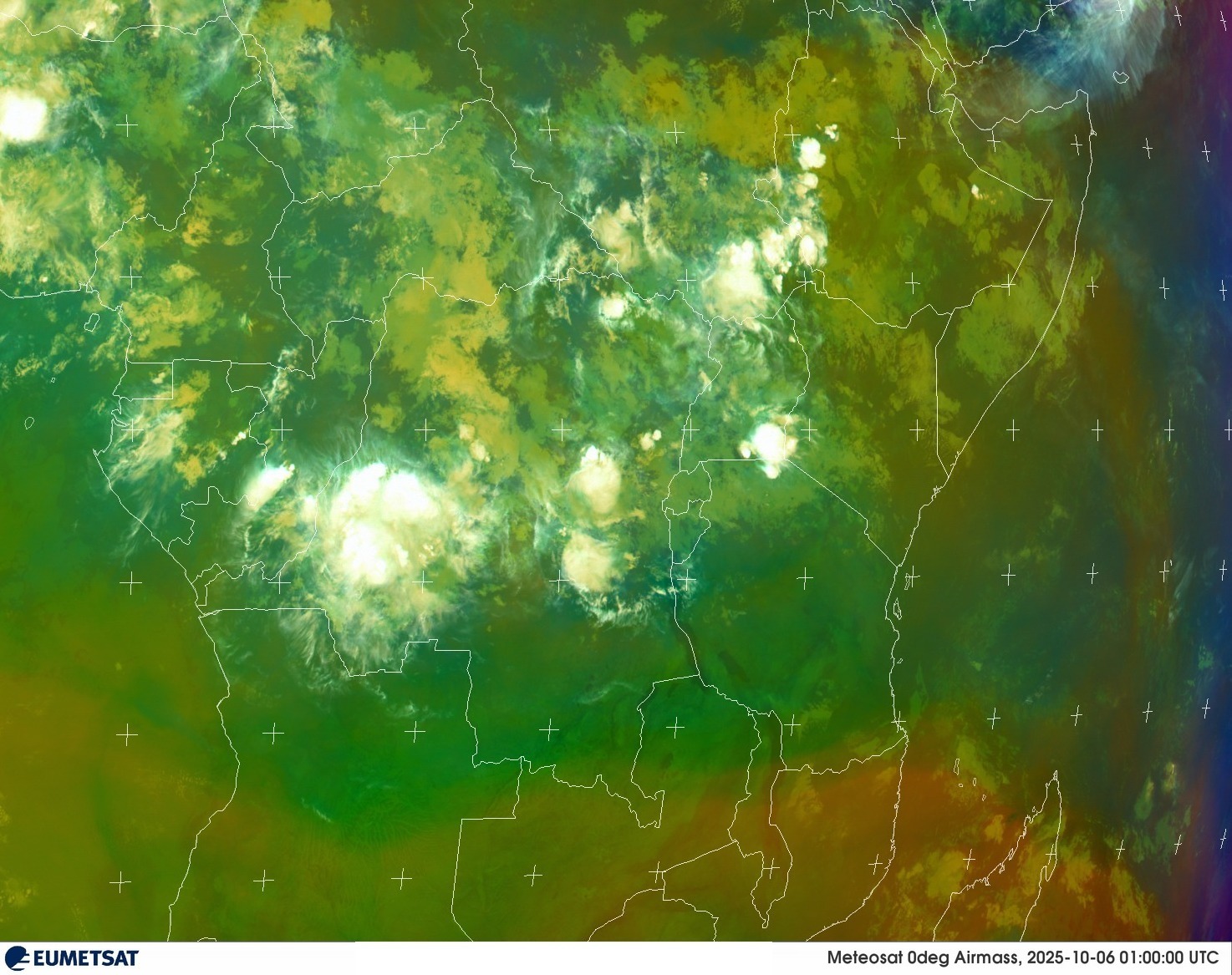 Live Satellite