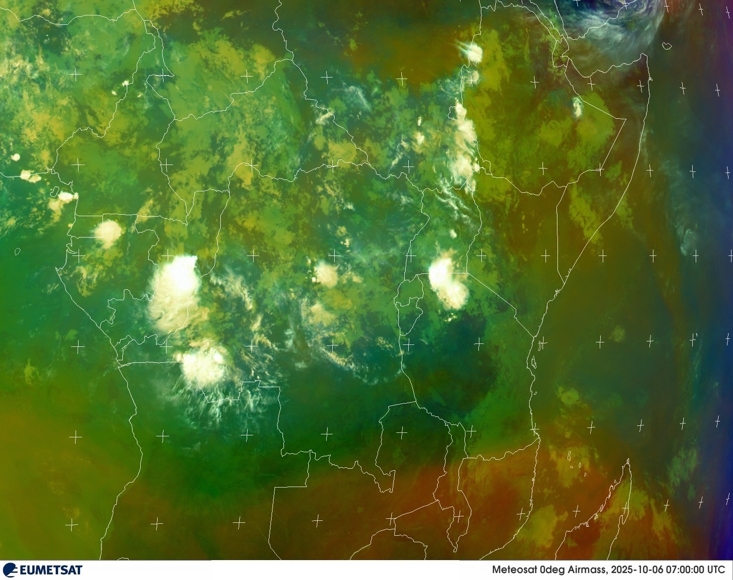 Live Satellite