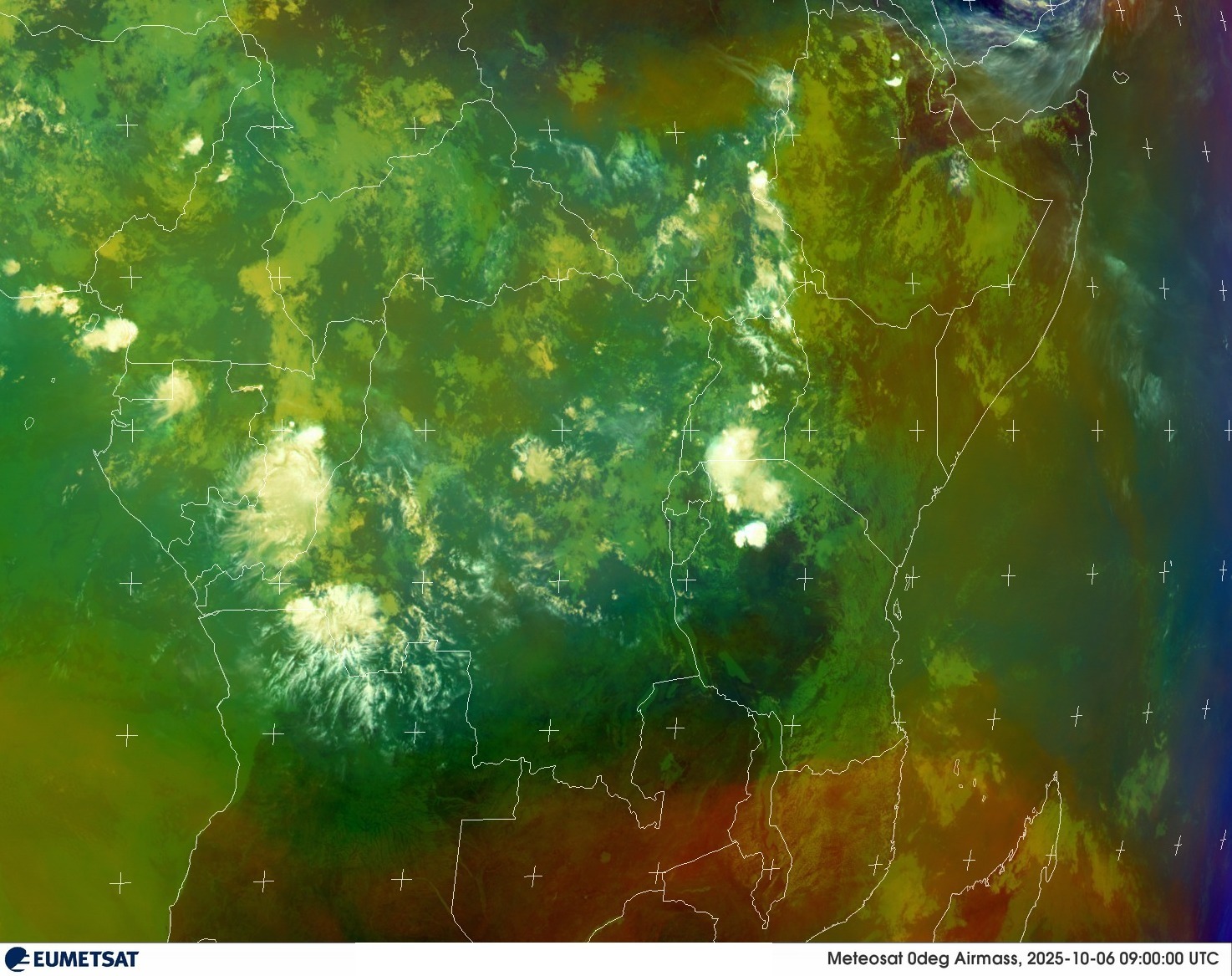 Live Satellite