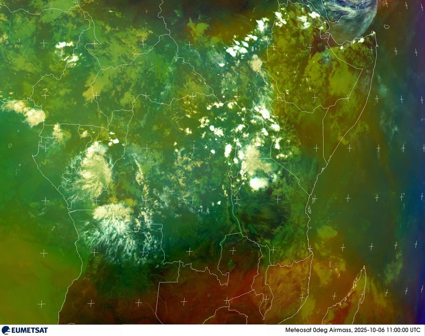 Live Satellite