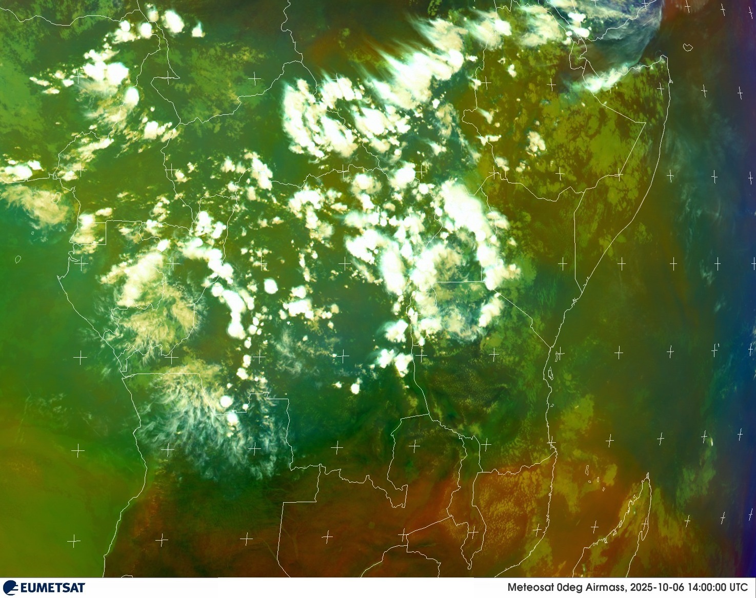Live Satellite
