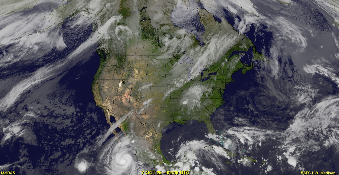 Live Satellite