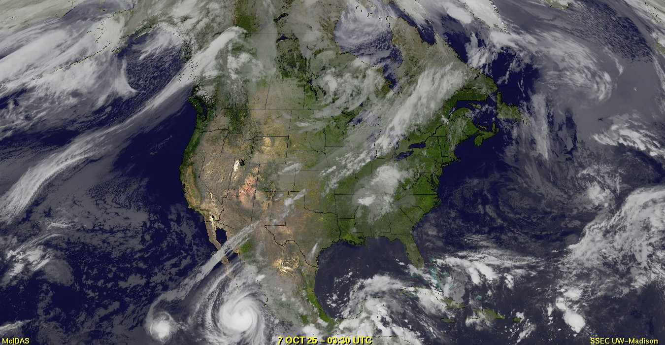 Live Satellite