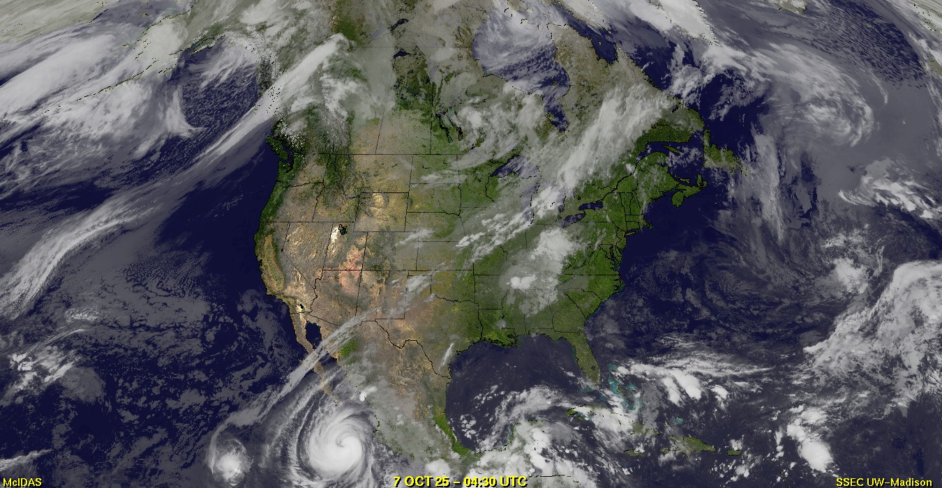 Live Satellite