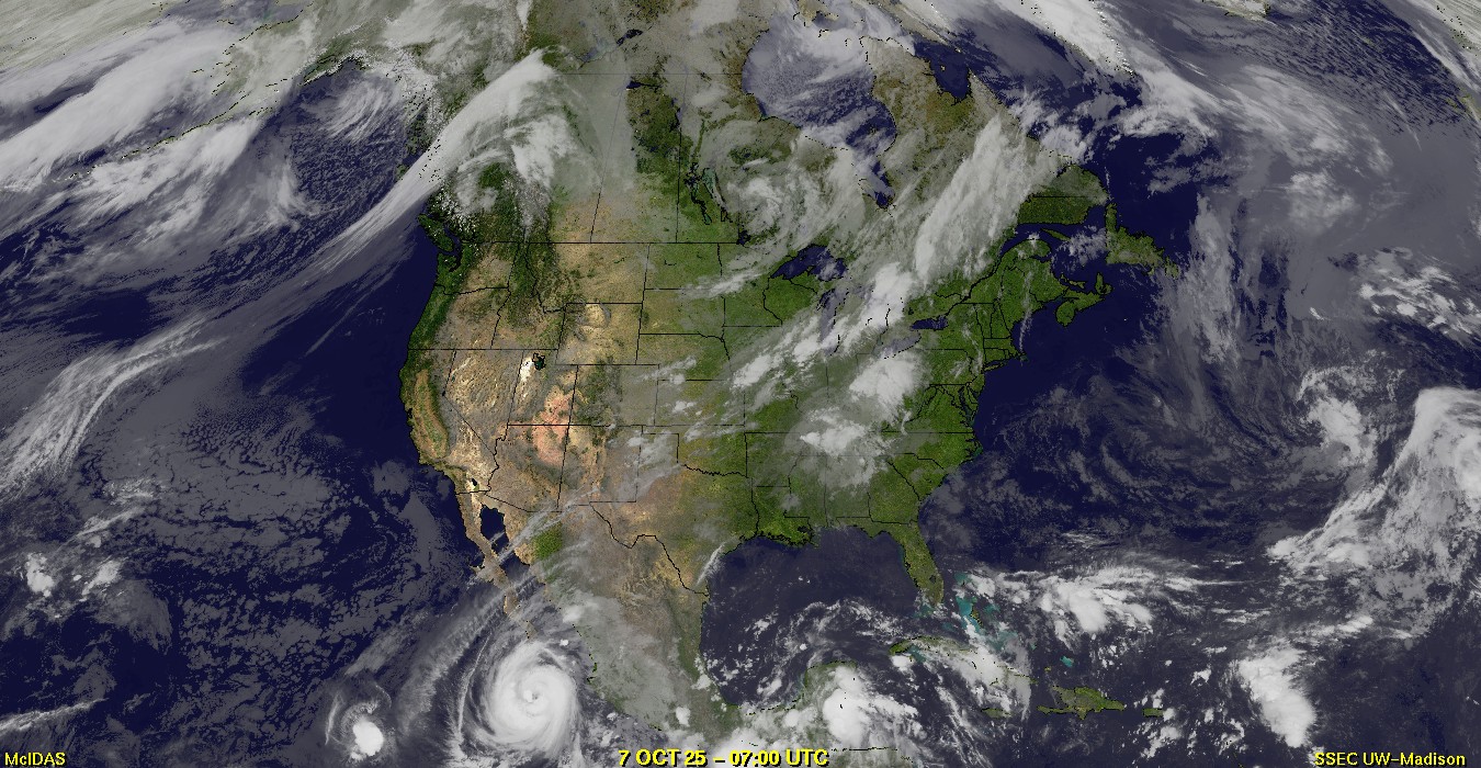 Live Satellite