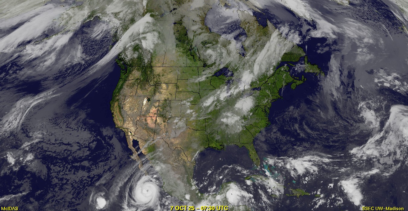 Live Satellite