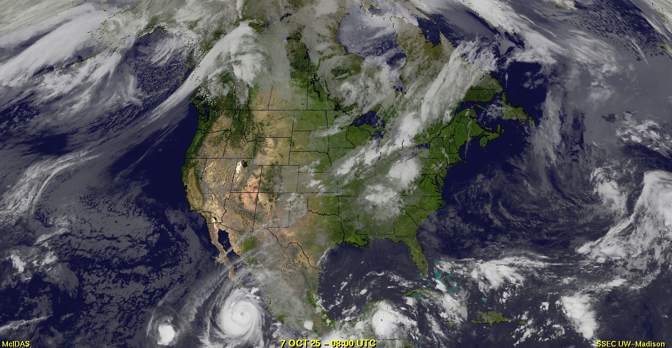 Live Satellite