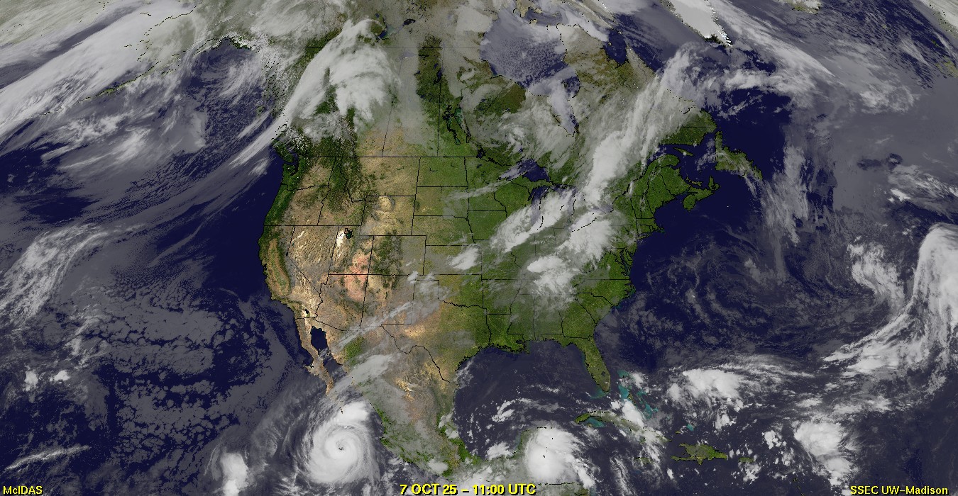 Live Satellite