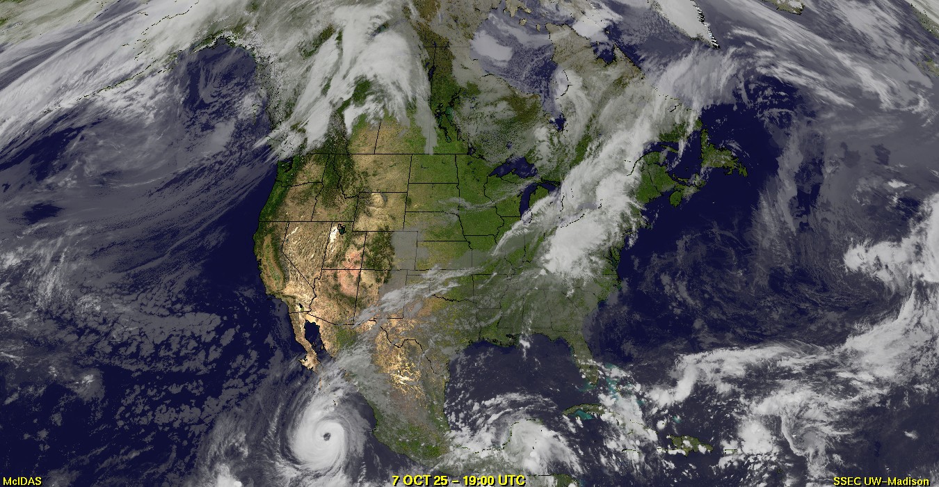 Live Satellite