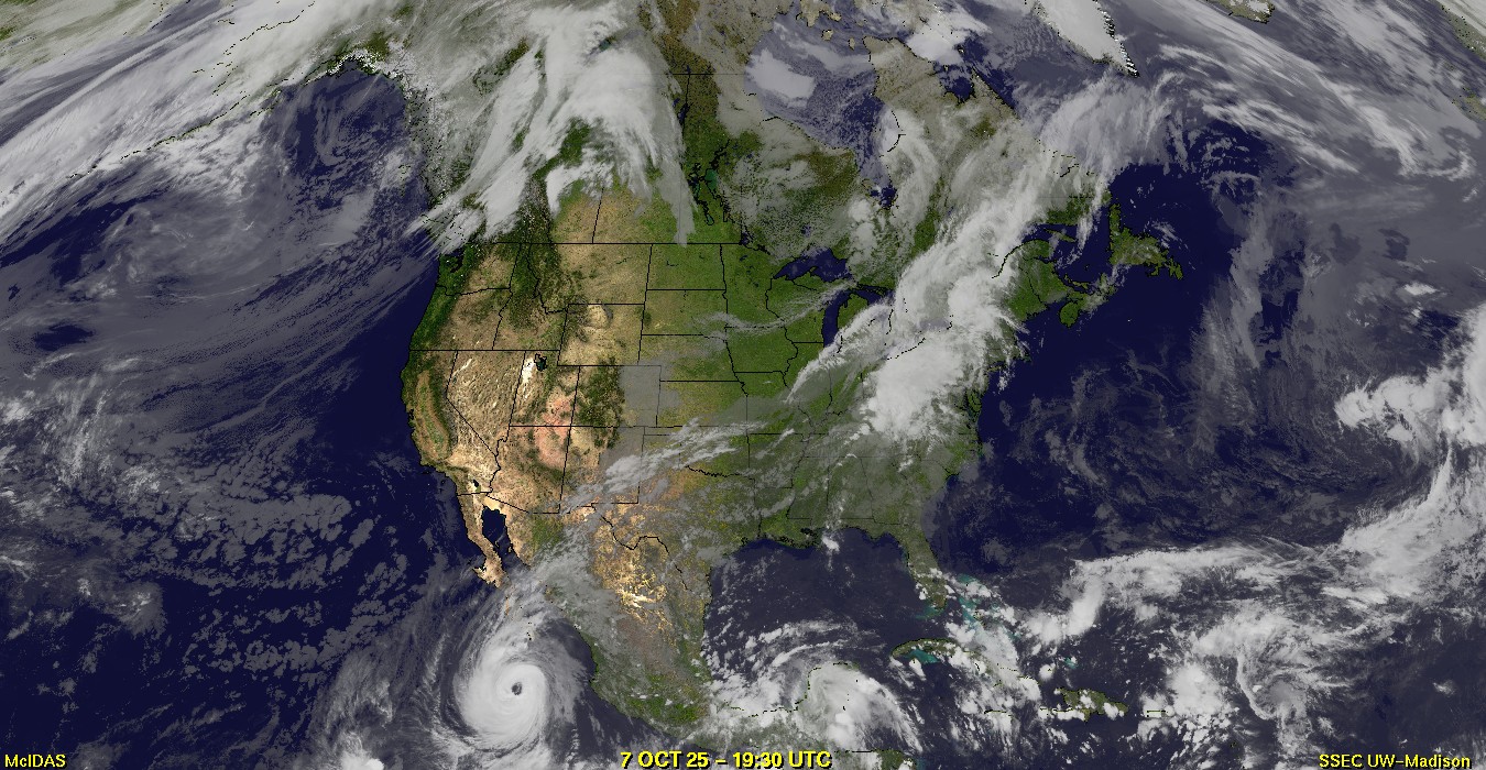 Live Satellite