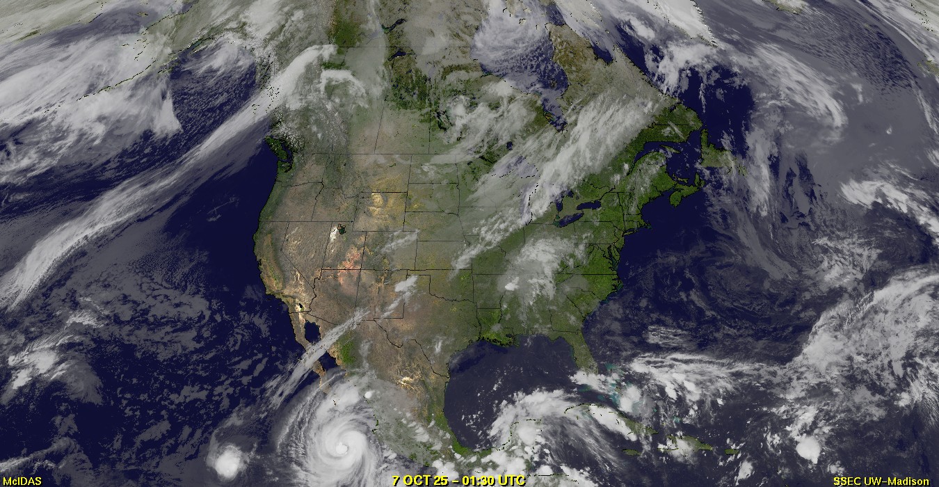 Live Satellite