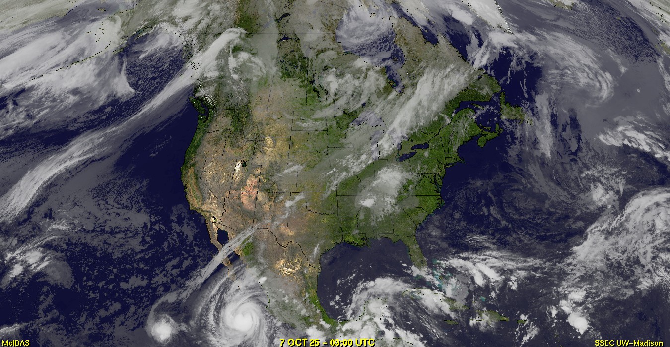 Live Satellite