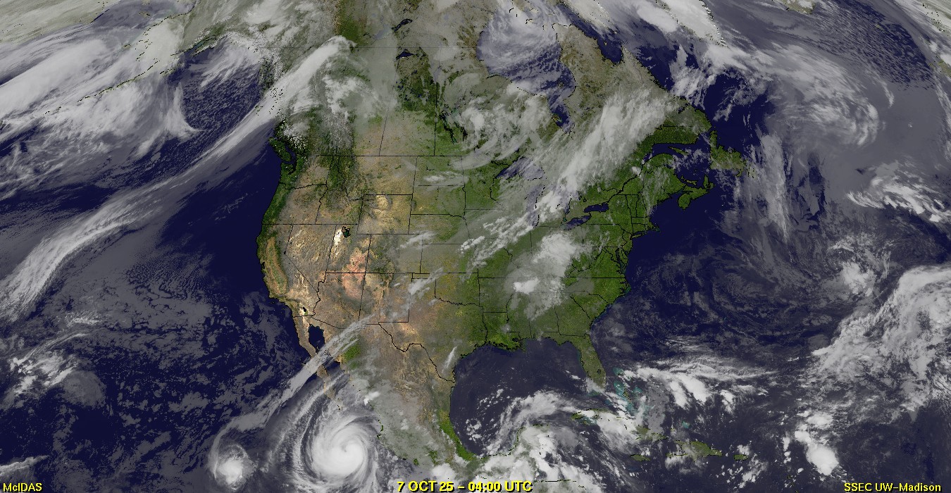 Live Satellite